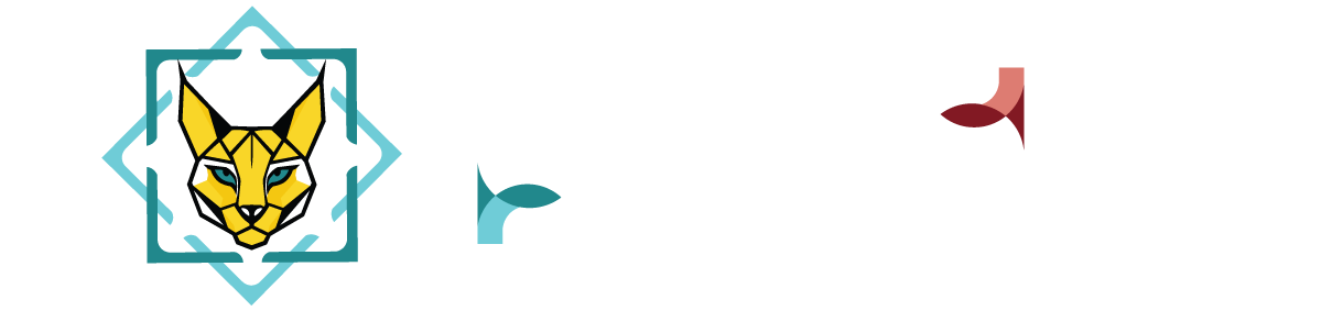 Parados-paradosfacadesoftware